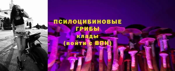 эйфоретик Волосово