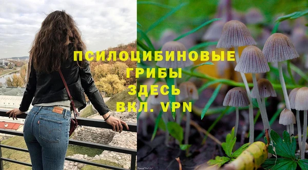СК Волоколамск