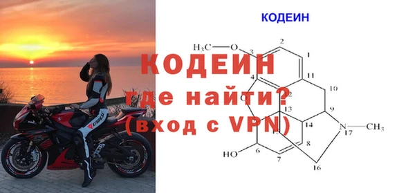 СК Волоколамск