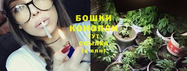 СК Волоколамск