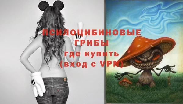 СК Волоколамск