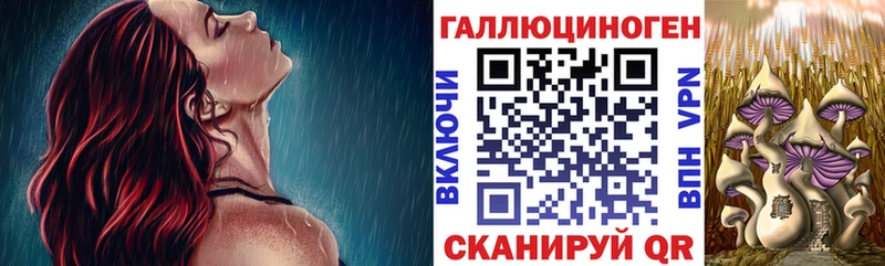 Псилоцибиновые грибы Psilocybe  Купить  Лангепас 
